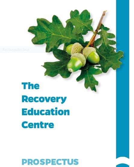 the recovery education centre